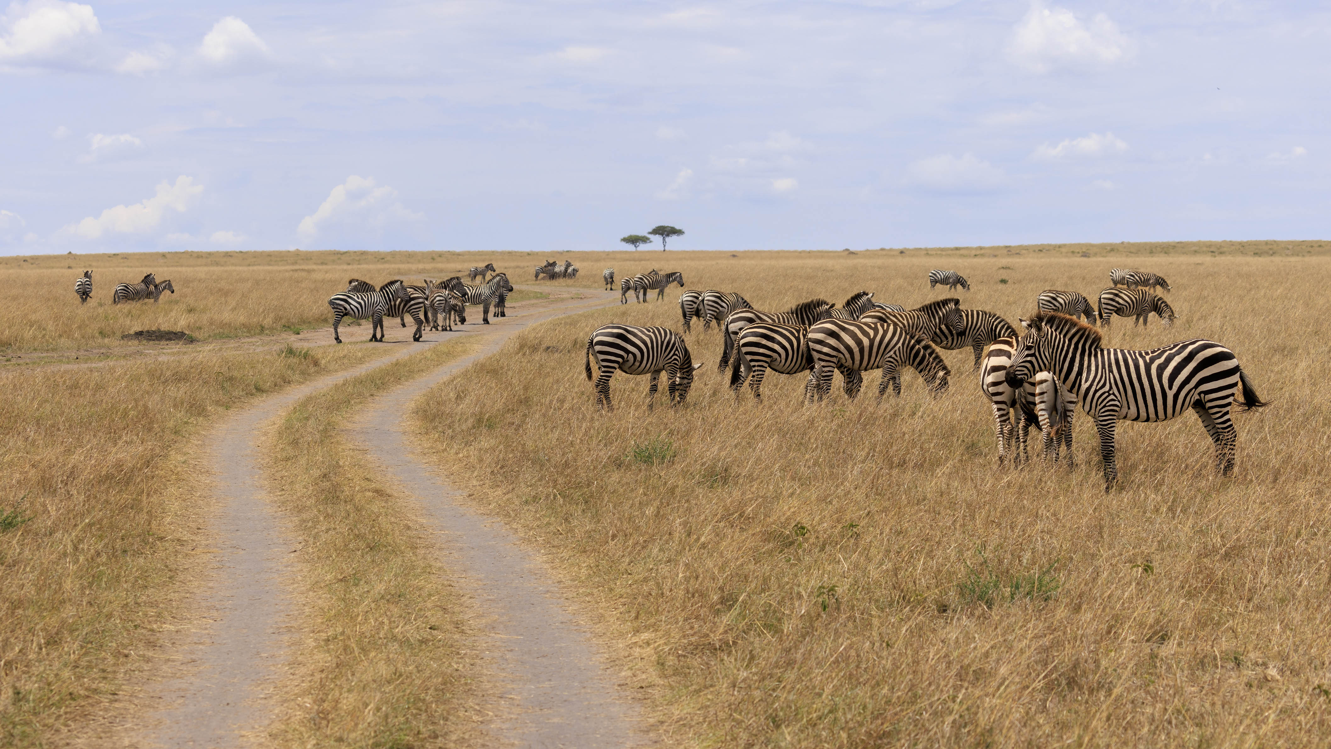 November 10, 2022-112745-6-Edit-3.jpg